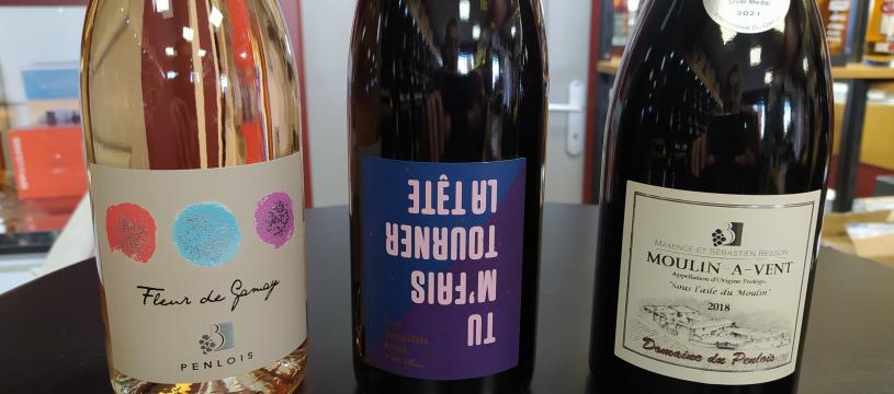 Vins Beaujolais du Domaine de Penlois (Lancié 69)